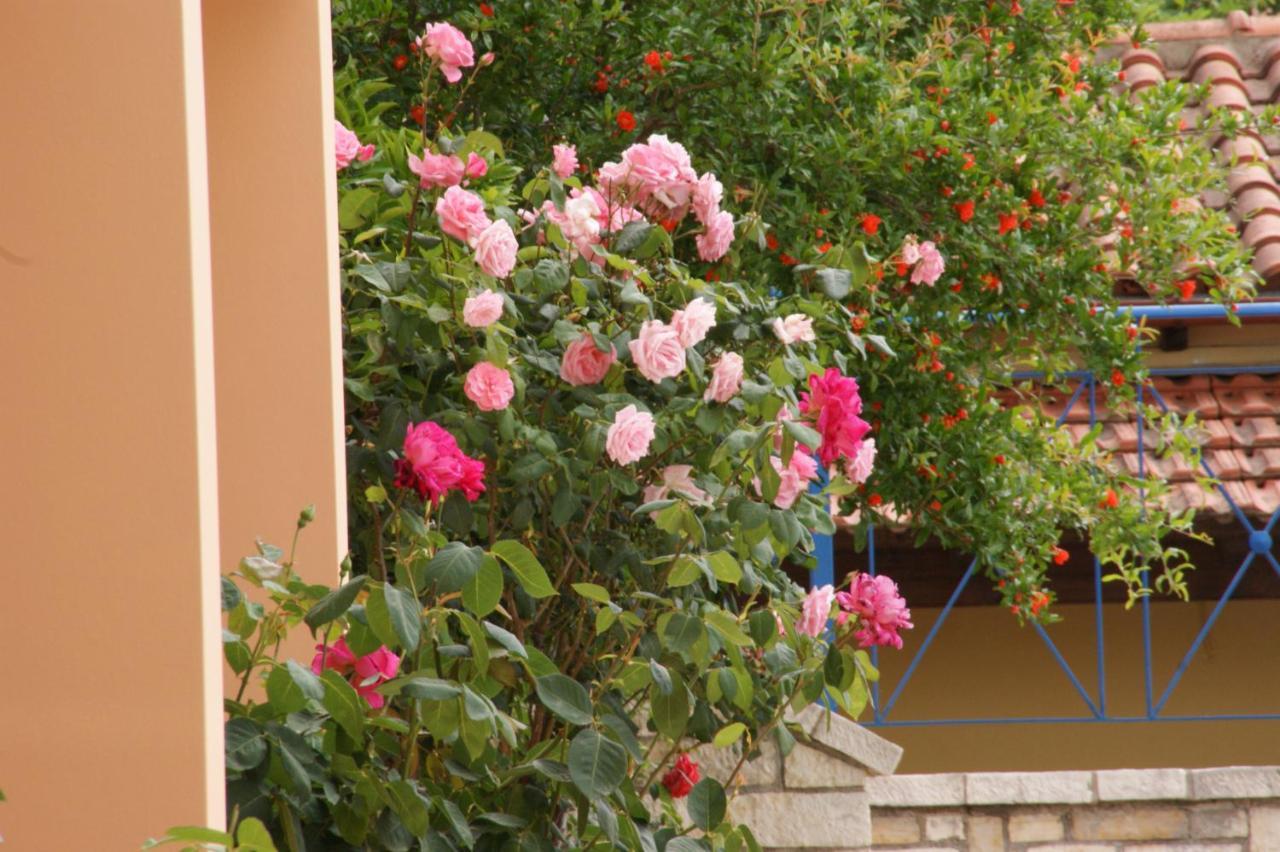 Barbati View Luxury Apartments Екстериор снимка
